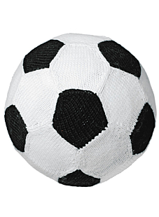 Le ballon des champions