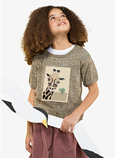 Pull manches courtes