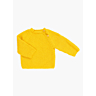 M6283 Pull raglan boutonné Capucine en fiche pdf