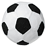 M5758 Le ballon des champions en fiche imprimée