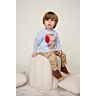 M6556 Pull raglan jacquard chat Illian en impression papier
